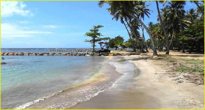 Atlantic Gites Capesterre-Belle-Eau Exterior foto